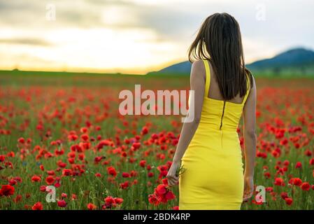 Frau im gelben Kleid stehen im Bereich der Mohn. Stockfoto