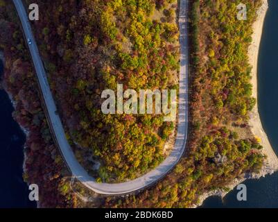 Herbst Wald drone Luftaufnahme, Ansicht von oben von Laub Bäume und auf der Straße. Stockfoto