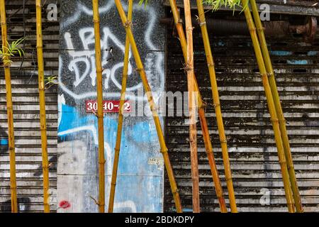 Bunt bemalte Graffiti auf einer Betonwand und Bambus Stockfoto