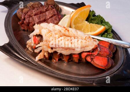 Surf and Turf, Tenderloin mit Lobster-Schwanz, von James D Coppinger/Dembinsky Photo Assoc Stockfoto