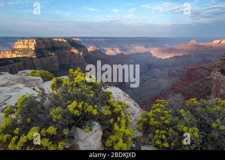 Landcape Fotos von Sonnenaufgang am Cape Royal, Nordrand des Grand Canyon National Park Stockfoto