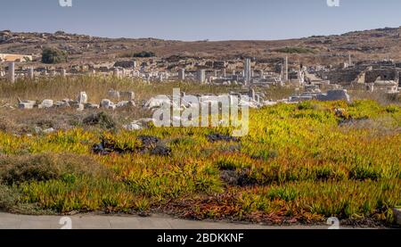 Ruinen auf der Insel Delos, Griechenland, eine archäologische Stätte in der Nähe von Mykonos in der Ägäis Kykladen Inseln. Stockfoto