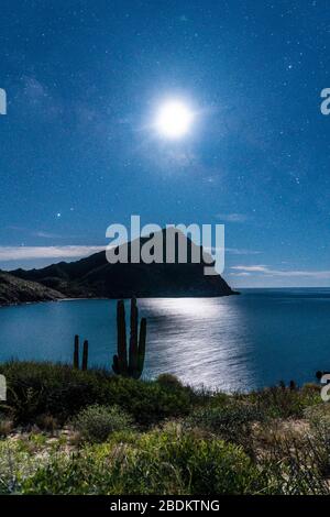 Nacht der Sterne und Mondschein am Strand von El Colorado, Sonora Mexico. Sonora-Wüste, sehr ähnlich der Wüste von Arizona und Baja California. Golf von Calif Stockfoto
