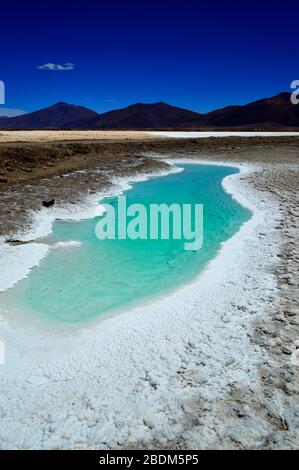 Meeresauge in der Salzpflage Pocitos, Salta, Argentinien Stockfoto