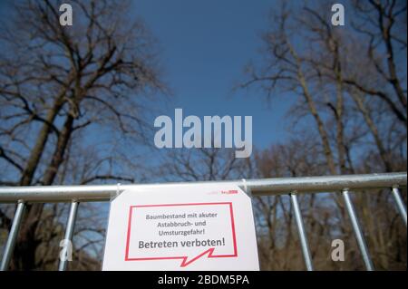 Berlin, Deutschland. April 2020. Ein Schild mit der Aufschrift "Baumbestand mit akuter Gefahr, herunterzufallen und zu kippen! Kein Trespassing' hängt an einem Metallzaun vor dem Glienicker Park, der an der Grenze zur Brandenburger Landeshauptstadt Potsdam liegt. Der Landschaftsgarten ist Teil des UNESCO-Welterbes Schlösser und Parks von Potsdam und Berlin (Potsdamer Kulturlandschaft). Kredit: Soeren Stache / dpa-Zentralbild / ZB / dpa / Alamy Live News Stockfoto