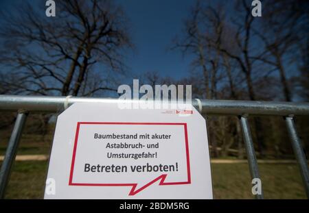 Berlin, Deutschland. April 2020. Ein Schild mit der Aufschrift "Baumbestand mit akuter Gefahr, herunterzufallen und zu kippen! Kein Trespassing' hängt an einem Metallzaun vor dem Glienicker Park, der an der Grenze zur Brandenburger Landeshauptstadt Potsdam liegt. Der Landschaftsgarten ist Teil des UNESCO-Welterbes Schlösser und Parks von Potsdam und Berlin (Potsdamer Kulturlandschaft). Kredit: Soeren Stache / dpa-Zentralbild / ZB / dpa / Alamy Live News Stockfoto