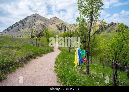 Ein herrlicher Blick auf die felsige Landschaft des Bear Butte State Park, South Dakota Stockfoto