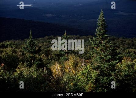 Blick auf John's Nose, Mt. Greylock State Park, Massachusetts Stockfoto