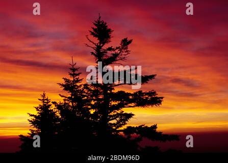 Gipfel von Sonnenaufgang, Mt Greylock State Reserve, Massachusetts Stockfoto