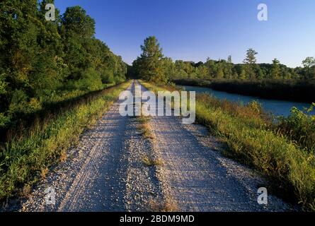 Red Mill Drive, Mingo National Wildlife Refuge, Missouri Stockfoto