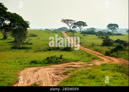 Landschaftsansicht des Murchison Falls National Wildlife Refuge, Uganda. Murchison Falls liegt im Nordwesten Ugandas und bietet ein einzigartiges Erlebnis. Stockfoto