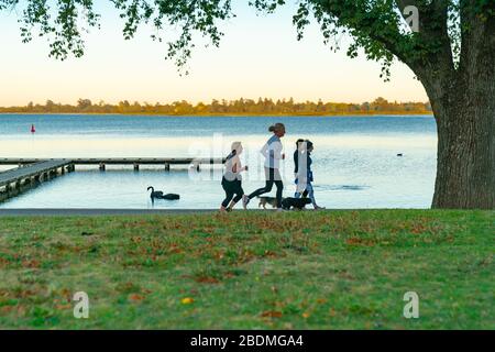 Ballarat Australien - 16. März 2020; Wanderer und Jogger mit thier Hunden für ihre morgendliche Übung rund um den Rand des Lake Wendouree. Stockfoto