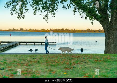 Ballarat Australien - 16. März 2020; Wanderer und Jogger mit thier Hunden für ihre morgendliche Übung rund um den Rand des Lake Wendouree. Stockfoto