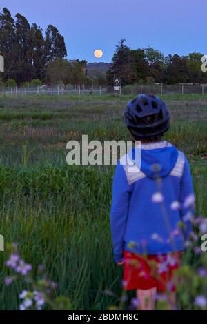 Der junge Junge, der einen Fahrradhelm und eine blaue Jacke trägt, steht auf einem ländlichen Feld mit Wildblumen und beobachtet den Vollmond in Windsor, Kalifornien. Stockfoto