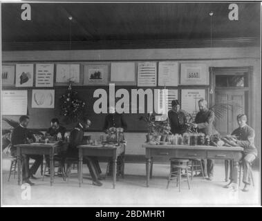 Hampton Institute, Virginia - Plant Study Lab Stockfoto