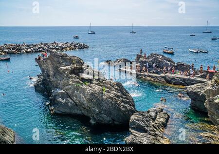 Schwimmen Sie im Hafen von Manarola in der Cinque Terre, der ligurischen Riviera di Levante, Ligurien, Italien Stockfoto