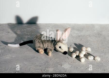 Australische Milchschokolade Bilby Wachteleier mit Eiern auf grungem grauem Hintergrund. Osterkonzept. Stockfoto