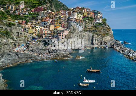 Hafen von Manarola in der Cinque Terre, Ligurische Riviera di Levante, Ligurien, Italien Stockfoto