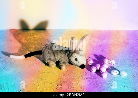 Australische Milchschokolade Bilby Wachteleier mit Eiern auf grunge buntem Hintergrund. Osterkonzept. Stockfoto