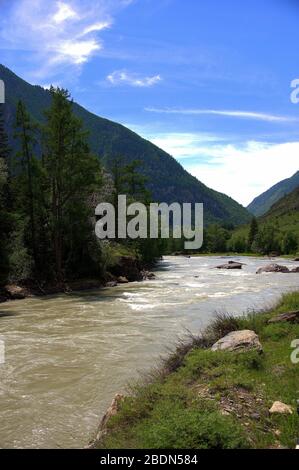 Ein stürmischer Gebirgsfluss mit steinigen Ufern fließt durch ein Tal am Fuße der Berge. Altai, Sibirien, Russland. Stockfoto