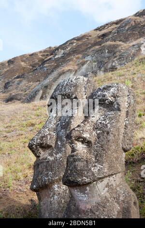 Zwei Moai bei Rano Raraku, dem Steinbruch für die meisten riesigen Steinstatuen der Osterinsel, Stockfoto