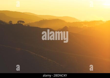 Blick auf den Sonnenaufgang auf die Teeplantationslandschaft in den Cameron Highlands, Malaysia. Stockfoto