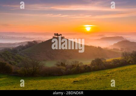 Bridport, Dorset, Großbritannien. April 2020. Wetter in Großbritannien. Colmers Hill in der Nähe von Bridport in Dorset liegt über dem Nebel bei Sonnenaufgang vor einem weiteren warmen sonnigen Frühlingstag. Bildnachweis: Graham Hunt/Alamy Live News Stockfoto