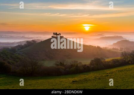 Bridport, Dorset, Großbritannien. April 2020. Wetter in Großbritannien. Colmers Hill in der Nähe von Bridport in Dorset liegt über dem Nebel bei Sonnenaufgang vor einem weiteren warmen sonnigen Frühlingstag. Bildnachweis: Graham Hunt/Alamy Live News Stockfoto