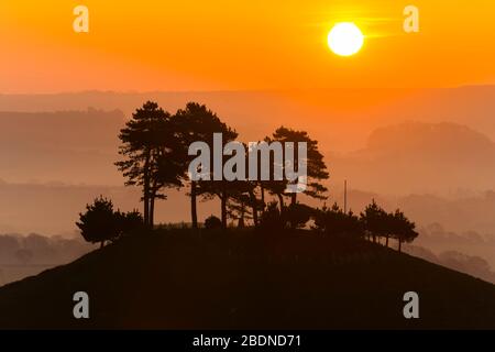 Bridport, Dorset, Großbritannien. April 2020. Wetter in Großbritannien. Colmers Hill in der Nähe von Bridport in Dorset liegt über dem Nebel bei Sonnenaufgang vor einem weiteren warmen sonnigen Frühlingstag. Bildnachweis: Graham Hunt/Alamy Live News Stockfoto