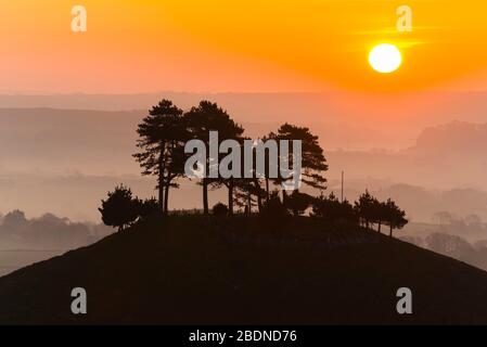 Bridport, Dorset, Großbritannien. April 2020. Wetter in Großbritannien. Colmers Hill in der Nähe von Bridport in Dorset liegt über dem Nebel bei Sonnenaufgang vor einem weiteren warmen sonnigen Frühlingstag. Bildnachweis: Graham Hunt/Alamy Live News Stockfoto