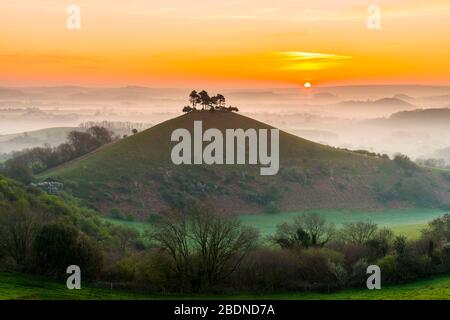 Bridport, Dorset, Großbritannien. April 2020. Wetter in Großbritannien. Colmers Hill in der Nähe von Bridport in Dorset liegt über dem Nebel bei Sonnenaufgang vor einem weiteren warmen sonnigen Frühlingstag. Bildnachweis: Graham Hunt/Alamy Live News Stockfoto