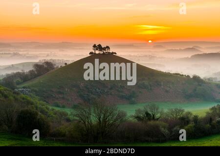 Bridport, Dorset, Großbritannien. April 2020. Wetter in Großbritannien. Colmers Hill in der Nähe von Bridport in Dorset liegt über dem Nebel bei Sonnenaufgang vor einem weiteren warmen sonnigen Frühlingstag. Bildnachweis: Graham Hunt/Alamy Live News Stockfoto