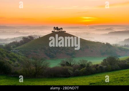 Bridport, Dorset, Großbritannien. April 2020. Wetter in Großbritannien. Colmers Hill in der Nähe von Bridport in Dorset liegt über dem Nebel bei Sonnenaufgang vor einem weiteren warmen sonnigen Frühlingstag. Bildnachweis: Graham Hunt/Alamy Live News Stockfoto