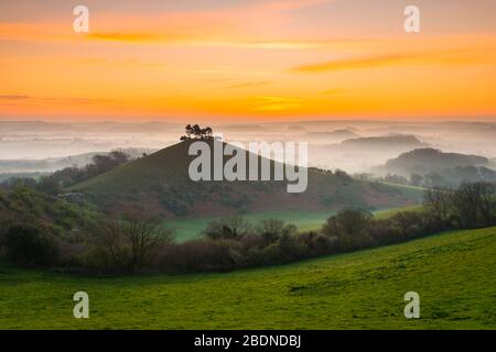 Bridport, Dorset, Großbritannien. April 2020. Wetter in Großbritannien. Colmers Hill in der Nähe von Bridport in Dorset liegt über dem Nebel bei Sonnenaufgang vor einem weiteren warmen sonnigen Frühlingstag. Bildnachweis: Graham Hunt/Alamy Live News Stockfoto