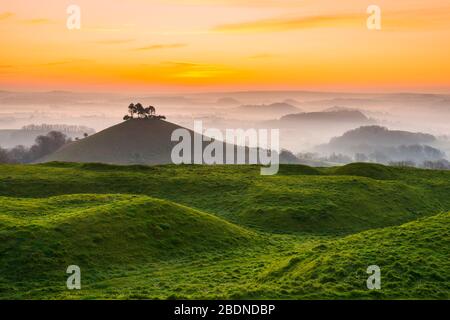 Bridport, Dorset, Großbritannien. April 2020. Wetter in Großbritannien. Colmers Hill in der Nähe von Bridport in Dorset liegt über dem Nebel bei Sonnenaufgang vor einem weiteren warmen sonnigen Frühlingstag. Bildnachweis: Graham Hunt/Alamy Live News Stockfoto