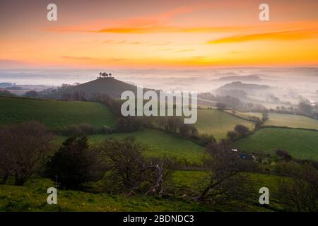 Bridport, Dorset, Großbritannien. April 2020. Wetter in Großbritannien. Colmers Hill in der Nähe von Bridport in Dorset liegt über dem Nebel bei Sonnenaufgang vor einem weiteren warmen sonnigen Frühlingstag. Bildnachweis: Graham Hunt/Alamy Live News Stockfoto