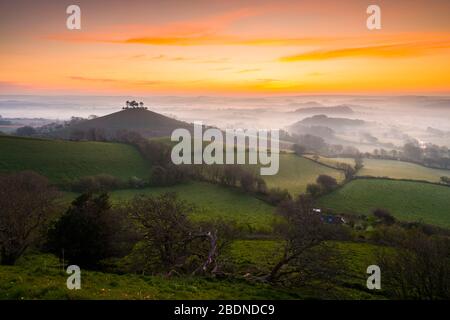 Bridport, Dorset, Großbritannien. April 2020. Wetter in Großbritannien. Colmers Hill in der Nähe von Bridport in Dorset liegt über dem Nebel bei Sonnenaufgang vor einem weiteren warmen sonnigen Frühlingstag. Bildnachweis: Graham Hunt/Alamy Live News Stockfoto