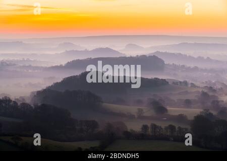 Bridport, Dorset, Großbritannien. April 2020. Wetter in Großbritannien. Nebel in den Tälern umgibt die Hügel von Bridport in Dorset bei Sonnenaufgang vor einem weiteren warmen sonnigen Frühlingstag. Bildnachweis: Graham Hunt/Alamy Live News Stockfoto