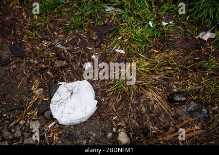 Einweg-Plastikgeschirr sind lange im Wald gelassen worden. Weiße Plastikpantoffeln, Gabeln werden auf den Boden geworfen. Müll im Wald. Das Problem der Verschmutzung von Plastikmüll. Stockfoto