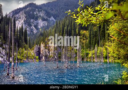 Wunderschöne Aussicht auf hoher See Kaindi mit schwebte trockene Bäume in Kasachstan und Zentralasien Stockfoto