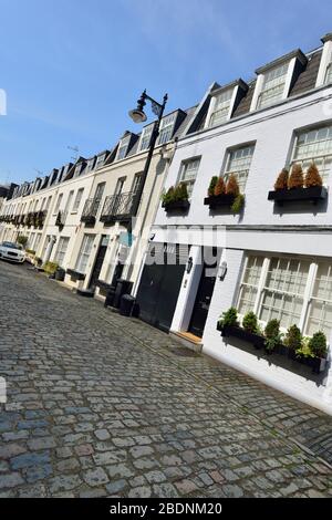 Terrassenförmige Luxusanlage Mews Häuser, Eaton Mews Nord, Belgravia, London, Vereinigtes Königreich Stockfoto