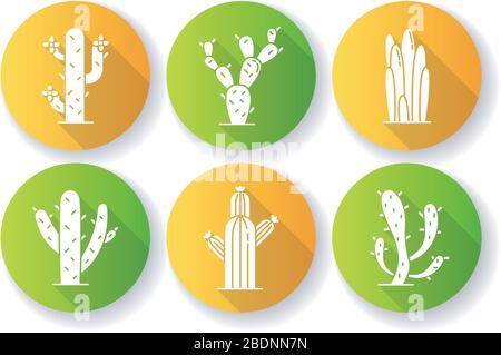 Cactuses flaches Design mit langen Schatten-Glyphe-Symbolen. Amerikanische Wüstenpflanzen mit fleischigen Stämmen. Familie Cactaceae. Stachelige Sukkulenten. Arides Gebiet dornig Stock Vektor