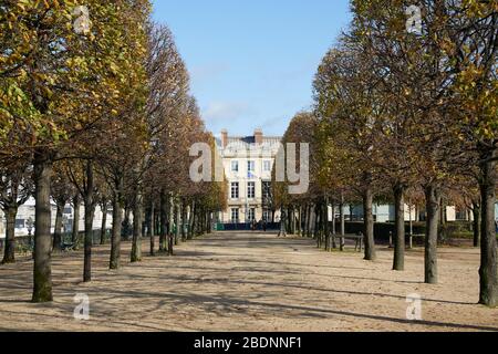 PARIS - 7. NOVEMBER 2019: Tuileries Garten mit Baumreihen im sonnigen Herbst in Paris, Perspektive Stockfoto