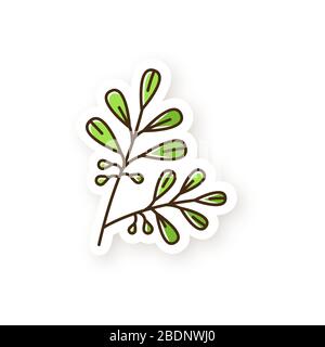 Coca-Patch. Verzweigung von Kokainbaum. Erythroxylum coca. Narkotische Landwirtschaft. Rohstoff für Arzneimittel. Südamerikanisches Pflanzenstimulans. RGB-Farbe Stock Vektor