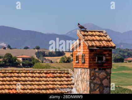 Eine Taube auf einem Kamin Vogelhaus in Corinaldo, Le Marche, Italien, mit den Bergen im Hintergrund an einem warmen Sommermorgen Stockfoto