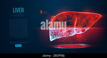 Abstrakte Silhouette des polygonalen Leberorgans. Scannen, erforschen und diagnostizieren der menschlichen Leber. Stock Vektor