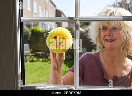Frau, die ihre Fenster mit einem Reinigungsschwamm von Scrub Daddy säubert Stockfoto