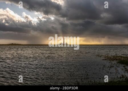 Leuchtturm Westerherversand, Westerhever, Nordsee, Schleswig-Holstein, Deutschland, Europa Stockfoto