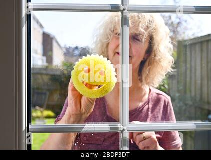 Frau, die ihre Fenster mit einem Reinigungsschwamm von Scrub Daddy säubert Stockfoto