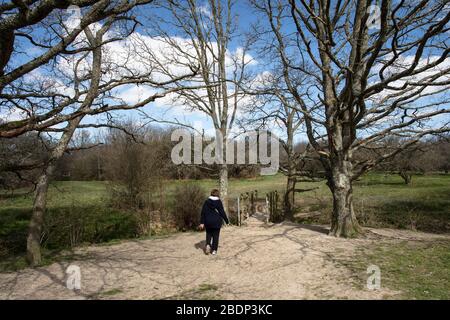 Eine reife Dame allein auf Ditchling Common, East Sussex, im Frühling, auf einer kleinen Brücke zwischen hohen Bäumen stehend, die in einen Bach blicken Stockfoto